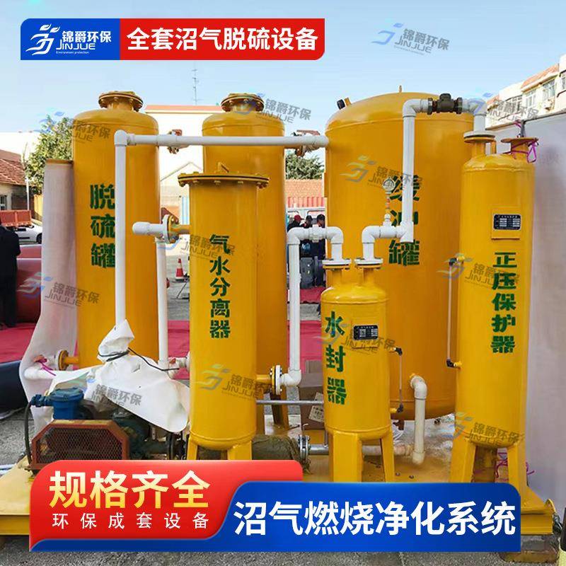 沼气脱硫净化器污水处理厂脱硫设备增压泵过滤器家用沼气脱硫设备