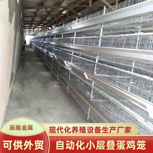 小层叠蛋鸡笼全自动化养鸡设备自动捡蛋清理机笼多层养鸡用设备