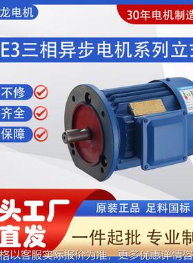 立式3-0.75380工厂店三相异步电动机国标全铜线圈