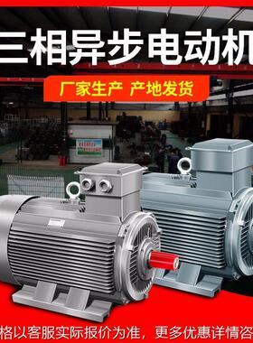 现货160W三相异步电动机YE3-355M1-6级能效电机 三相交流电机