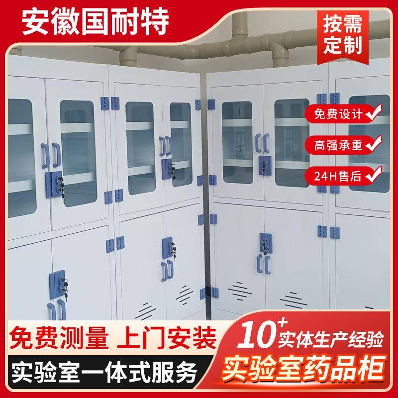 实验室药品柜pp酸碱柜通风药品柜器皿柜强酸化学品全钢药品柜