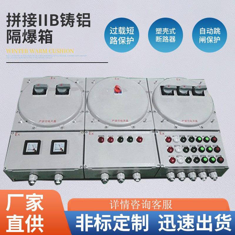 厂家非标拼接IIB铸铝隔爆箱EXD配电箱防爆隔电箱壁挂式