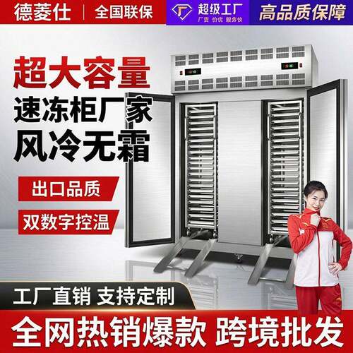 德菱仕速冻机冷冻柜风冷无霜超大容量食品双门商用零下45度速冻柜