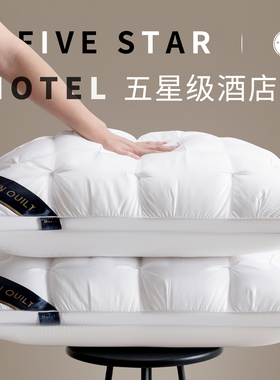 枕头枕芯家用一对护颈椎助睡眠颈椎专用枕头单人一只装枕头芯男