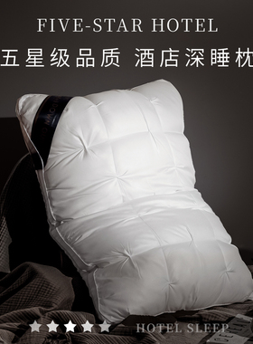 枕头2025新款护颈椎专用睡眠枕头枕芯枕头单人一只装家用一对男