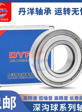 丹洋电机专用轴承6403 6404 6405 6406 6407 6408 6409 6410ZZ RS