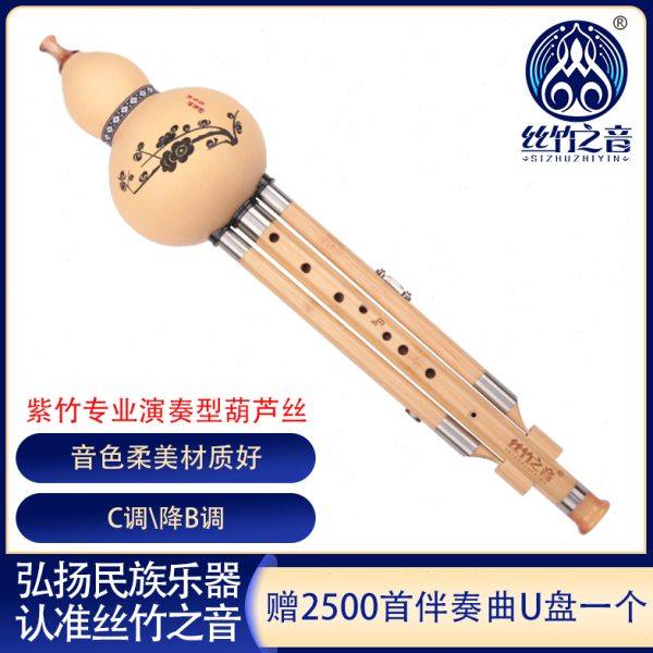 葫芦丝C调降b调F调儿童学生专用楠竹九孔葫芦丝演奏云南名族乐器