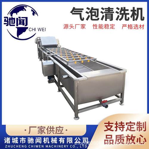 供应蔬菜清洗机菠菜韭菜气泡清洗机辣椒大枣喷淋式冲洗机