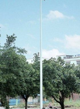 6米10米双头250W4s00W户外防水广场灯公园灯小区灯路灯高中杆灯