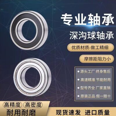 高速进口轴承6016 6017 6018 6019 6020 6022Z 2RS ZZ DDU/C3