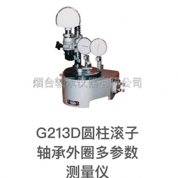轴承检测测量仪器G213D型D圆柱滚子轴承外圈多参数检测仪器量具