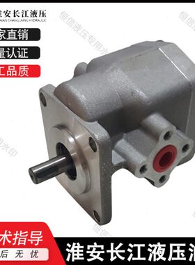 淮安长江齿轮泵RGP-2A-F02/F03/F04/F05/F06/F08/F09/F11/F12油泵