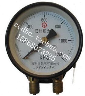 雷尔达仪表 双针双管 压力表 YZS-102 KPa 全规格 (LEIERDA)