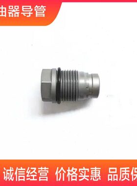 1110010015 1110010017 1110010018 1110010012 1110010013限压阀