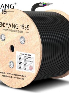博扬（BOYANG）BY-GYTS-72B1.3 铠装72芯单模室外光缆GYTS层绞式
