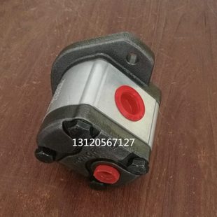 钰盟双向齿轮马达2MM1P04 2MM1P11 2MM1P06 2MM1P07现货 2MM1P05