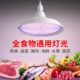 新国标生鲜猪肉灯冷鲜肉海鲜灯卤菜熟食店专用灯超市蔬菜水果吊灯