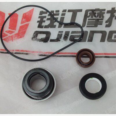 原厂黄龙BJ600GS 追600 赛600 BJ600GS-3  水泵油封 水泵水封