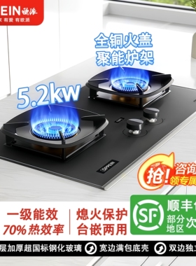 欧派(OPPEIN)燃气灶家用天然气液化气猛火台式嵌入式双灶煤气炉