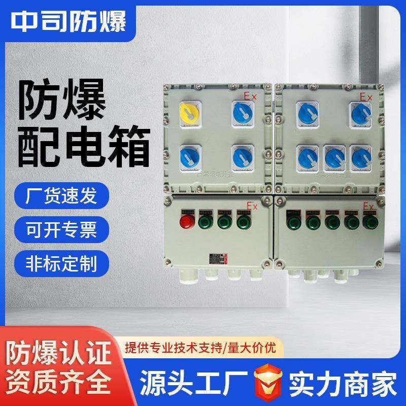 防爆配电箱动力检修电源箱接线箱插座箱仪表箱304铝合金壁挂式