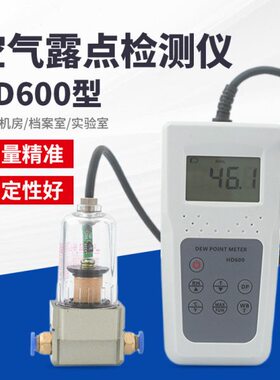 露点仪HD600空气露点检测仪温湿度表空气湿球工业环境温度湿度计