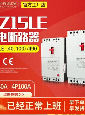 DZ15LE-40A/63A/100A/490塑料外壳式漏电保护器开关塑壳空气开关