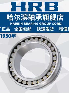 HRB 哈尔滨轴承 NN 3006 3007 3008 3009 K/W33 P5 P4 圆柱滚子