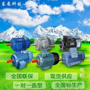 山东东泵高效率三相电机高效电机节能电机YE5电机节能电机包检测