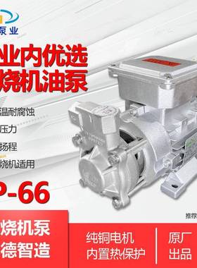 甲醇泵燃烧机油泵热水泵高压泵热油泵燃烧机泵LP-66