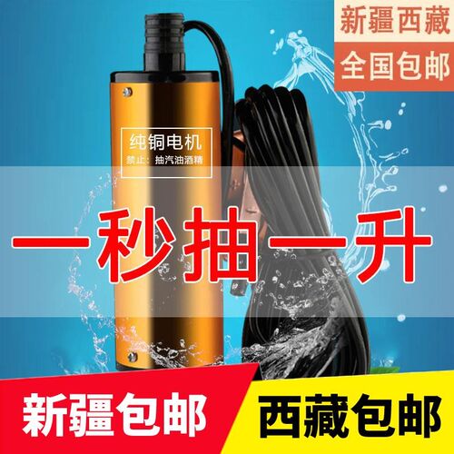 新疆西藏包邮抽油泵12vs抽水泵24v柴油电动抽油机小型车载自吸油
