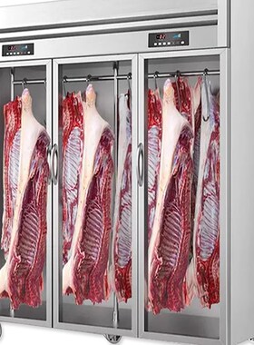 挂肉柜商用冷冻冷藏保鲜冰柜吊肉柜猪牛羊肉商用挂肉X柜立式排酸
