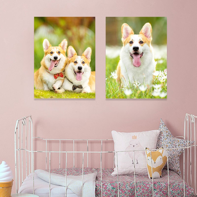 动物狗狗猫装饰画可爱儿童房挂画宠物店壁画现代简约无框画背景画图片