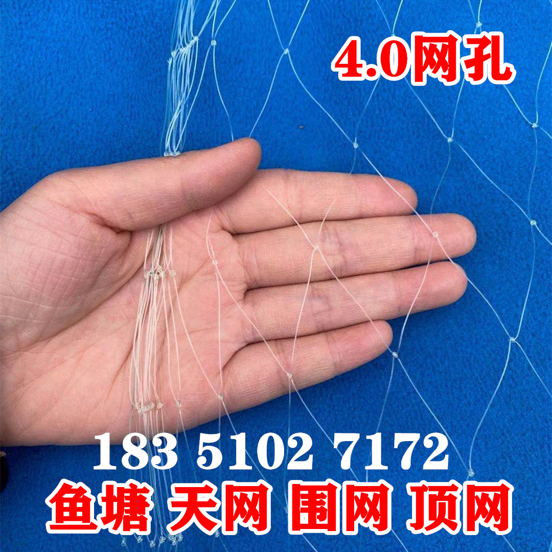 防鸟网草莓大棚果树樱桃葡萄梨树果园防鸟用网尼龙养殖网鱼塘天网