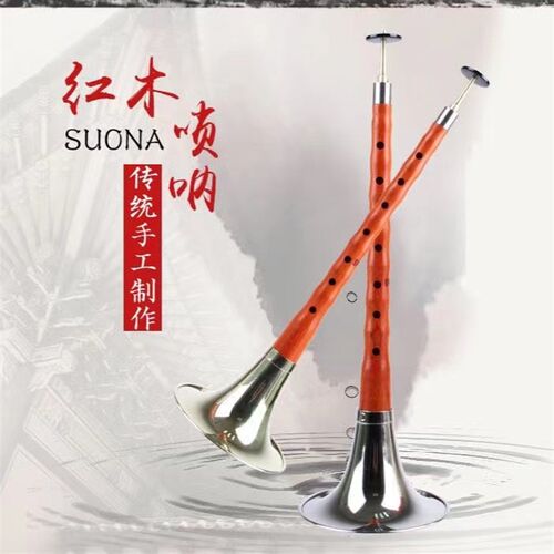 D调红木D调银碗o黑檀木唢呐乐器初学者老大小号红木哨片
