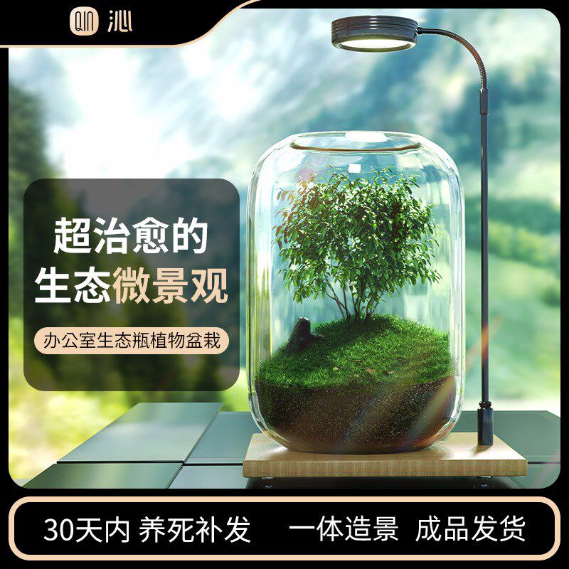 办公室桌面生态瓶自循环微景观免打理微生态玻璃微观鱼缸空瓶造景