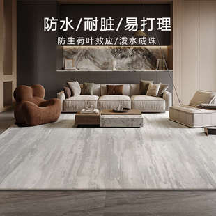 现代简约地毯客厅茶几毯地垫耐脏极简风沙发垫黑白灰毯防水高级感