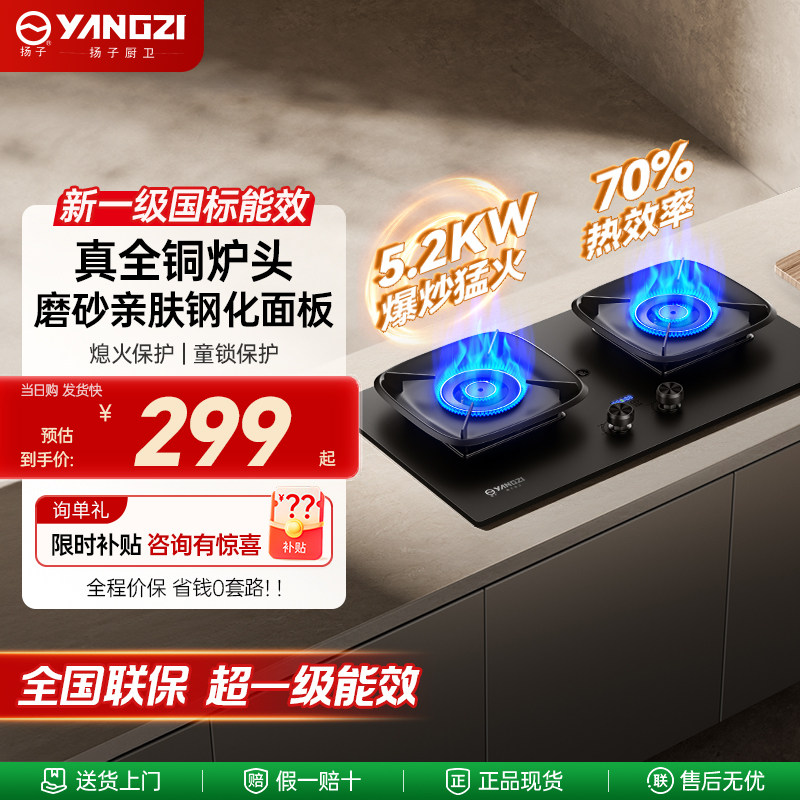 扬子家用燃气灶双灶嵌入式猛火天然气定时燃气灶具液化气台式炉具