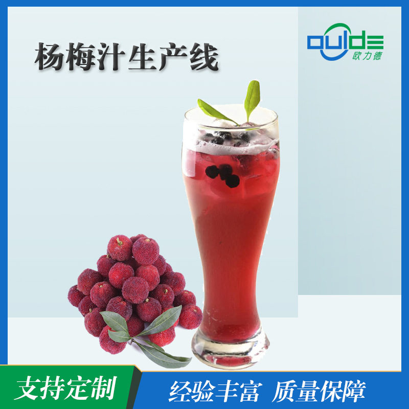 大小型果汁果酱饮料全自动生 产线厂杨梅汁生产设备