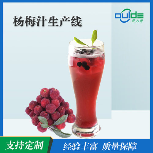 大小型果汁果酱饮料全自动生 产线厂杨梅汁生产设备