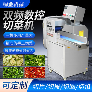 双头多功能切菜机商用土豆切丝切片切块机西葫芦辣椒韭菜切段机