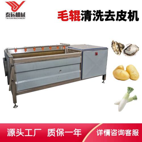 胡萝卜毛辊清洗机海鲜根茎类蔬菜清洗机土豆红薯洋芋清洗去皮设备
