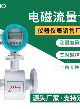 电磁流量计一体分体管道式数显流量计DN50DN100污水流量工业传感