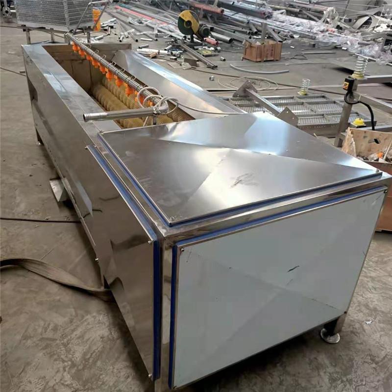 高压喷淋魔芋毛辊清洗机根茎类毛辊洗药机果蔬去皮清洗设备