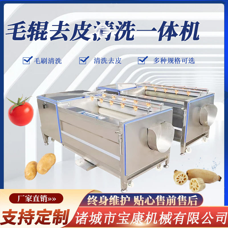 毛辊去皮清洗机 胡萝卜紫薯清洗机械 生姜土豆莲藕清洗去泥机器