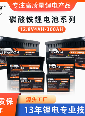 12V100Ah磷酸铁锂电池房车应急逆变储能24V200ah LiFePO4 Battery