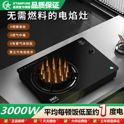 【节能低耗大功率】新型纯电火灶