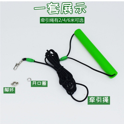 虎皮鹦鹉鸟八哥超轻放飞绳牵引延