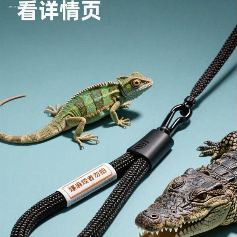 鬃狮蜥蜴守宫牵引绳带爬宠外出绳
