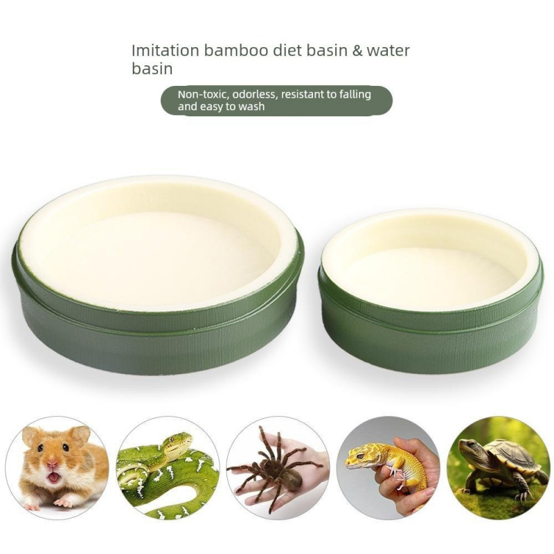 树叶食盆爬虫水盆陆龟守宫爬宠喝