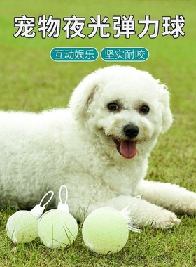 宠物狗狗玩具球实心红色橡胶弹力球狗球耐咬磨牙实心穿绳训练球